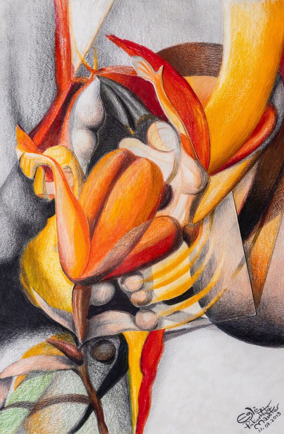 Blumen der Johannisnacht